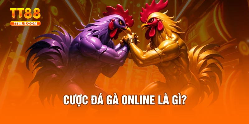 Cược đá gà online – nơi đỉnh cao giải trí