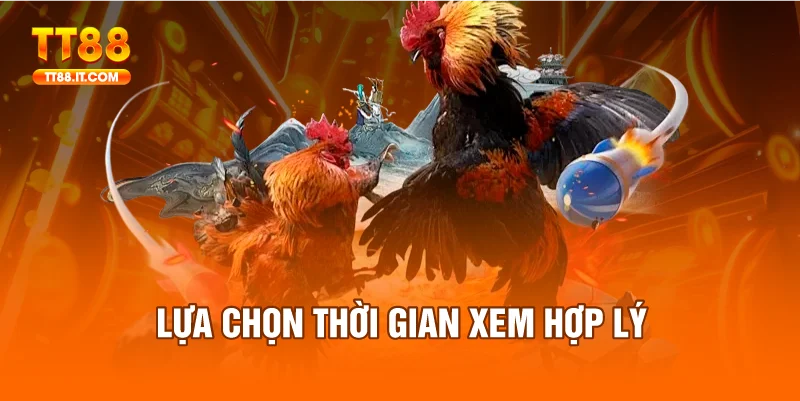 Bạn nên chọn thời gian phù hợp để theo dõi