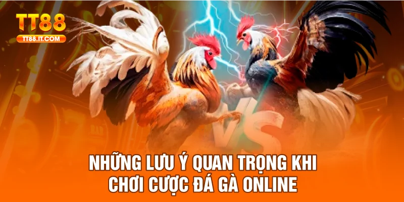 Hội viên cần theo dõi bảng thống kê lịch sử của chiến kê