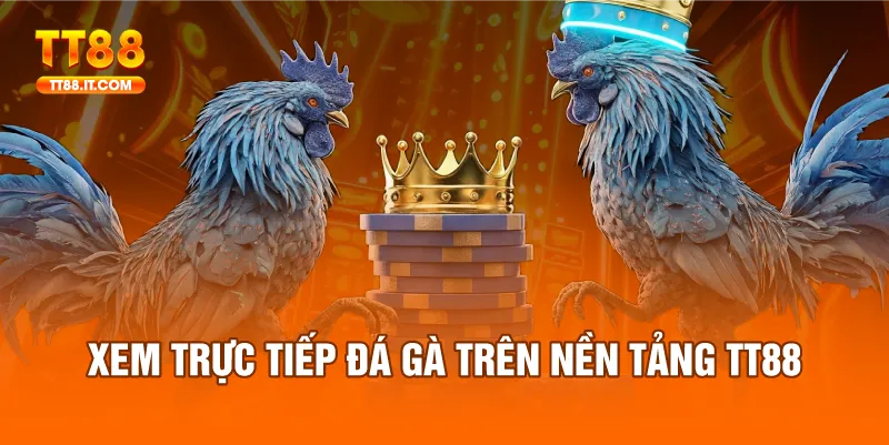 Người chơi có thể theo dõi các trận đấu từ bất kỳ thiết bị nào